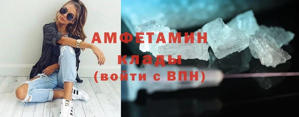 прущие грибы Тобольск