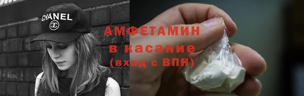 прущие грибы Тобольск