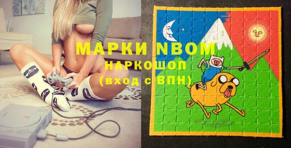 прущие грибы Тобольск