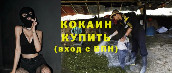 прущие грибы Тобольск