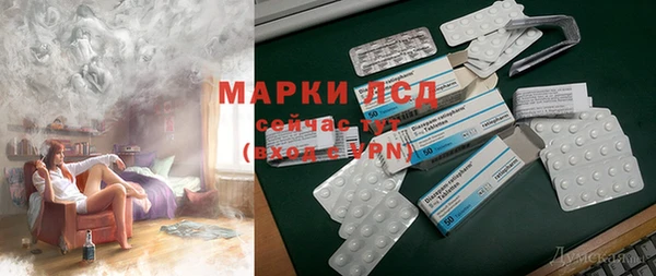 прущие грибы Тобольск